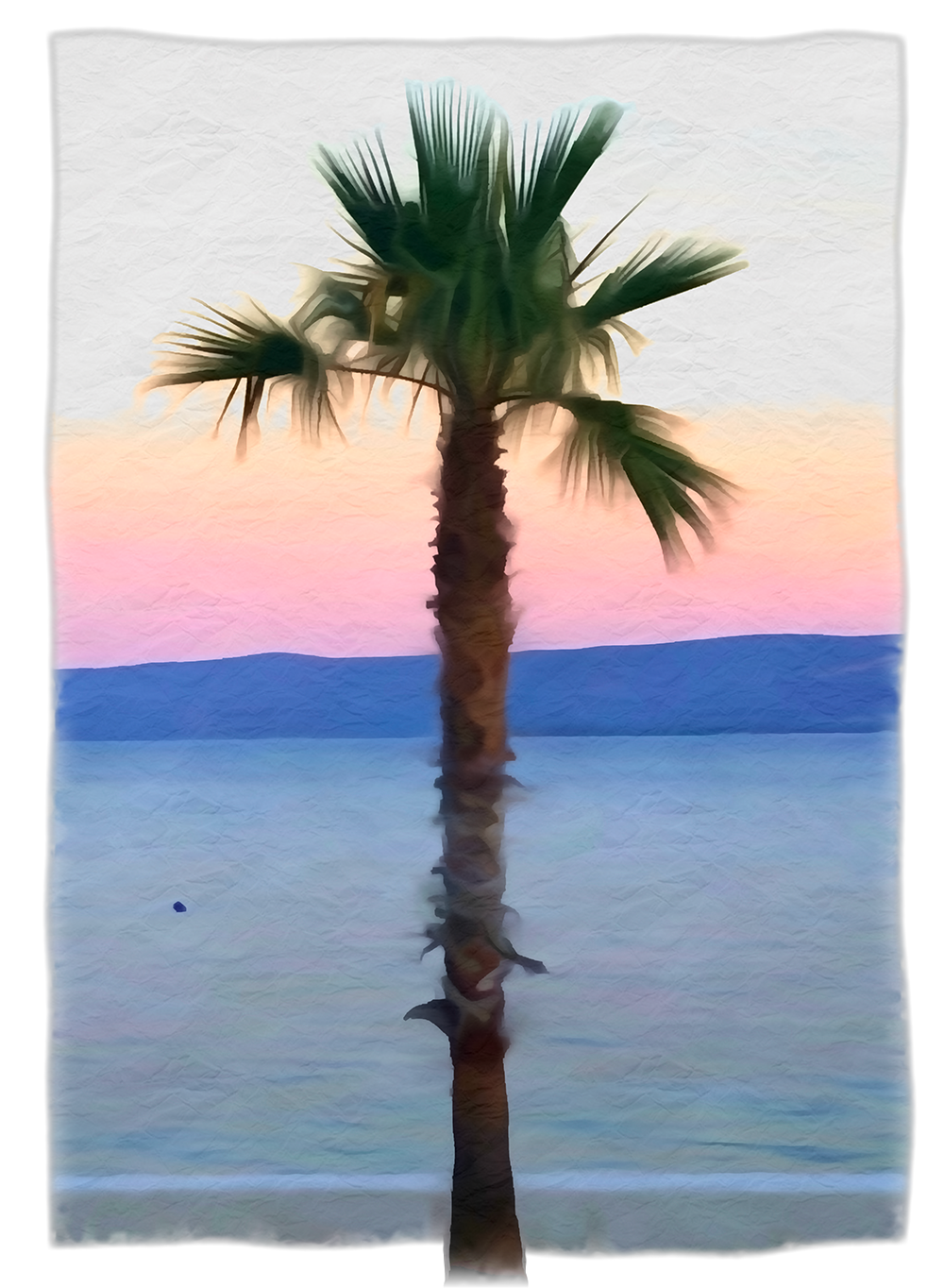 Palm Tree - Women's T Shirt